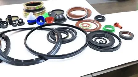 HNBR Windshield Rubber Solid Co-Extruded buna tc sc oil Seal