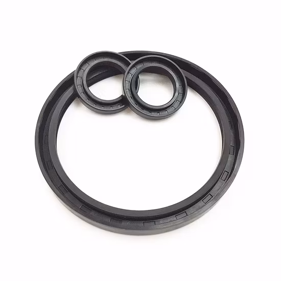 HNBR Windshield Rubber Solid Co-Extruded buna tc sc oil Seal